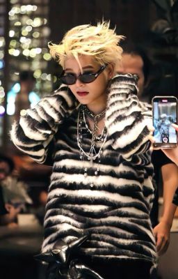 Atsh – (Caprhy) Hệ Thống Nói Chúng Tôi Không Hợp Nhau?