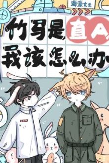 Trúc Mã Là Thẳng A, Tôi Nên Làm Cái Gì Bây Giờ?