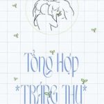 [Og] Tổng Hợp “Tráng Thụ”