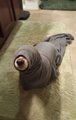 Hieusolduong • Hàng Xóm Poster