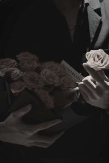 Perthsanta | Chiaroscuro