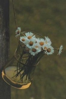 Bông Hoa Đẹp Nhất | Satzu