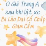 [Đm/Abo] O Giả Trang A Sau Khi Lật Xe Bị Lão Đại Cố Chấp Giam Cầm
