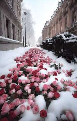 [Joongdunk][Abo] Hoa, Tuyết Và Em