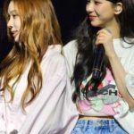 [Jiminjeong/Abo] Sau Khi Bị Tình Địch Đánh Dấu