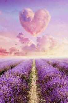 [Alljaki/Alljakky] Chờ Đợi Tình Yêu