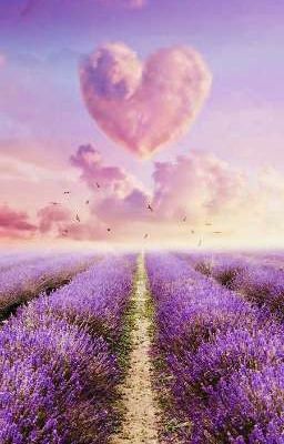 [Alljaki/Alljakky] Chờ Đợi Tình Yêu