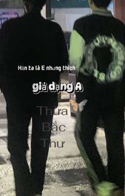 Hắn Ta Là E Nhưng Thích Giả Dạng A Poster