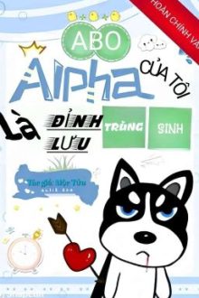 [Abo] [Hoàn] Alpha Của Tôi Là Đỉnh Lưu Trùng Sinh