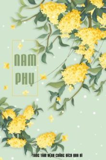 Nam Phụ (Hiện Đại/Thế Thân/Gương Vỡ Lại Lành)