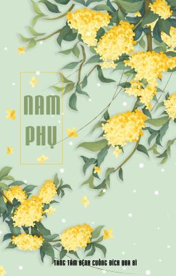 Nam Phụ (Hiện Đại/Thế Thân/Gương Vỡ Lại Lành) Poster