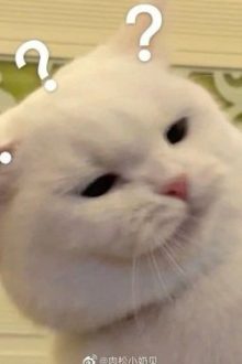 Làm Đĩ Cho Bạn Thân