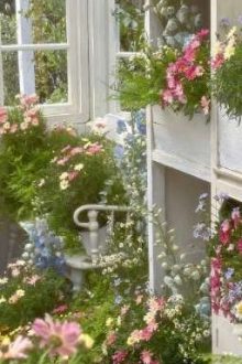 [Sm] Những Bé Song Tính Đủ Tiêu Chuẩn