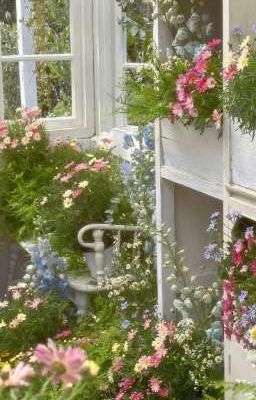 [Sm] Những Bé Song Tính Đủ Tiêu Chuẩn