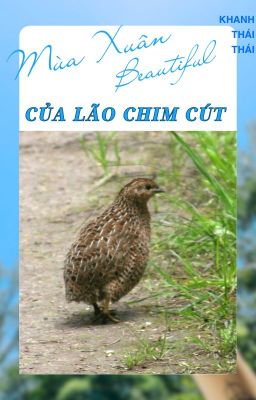 [Hoàn][Edit/Đm]Mùa Xuân Tươi Đẹp Của Lão Chim Cút Poster