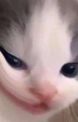 Tổng Hợp Tráng Thụ L Múp