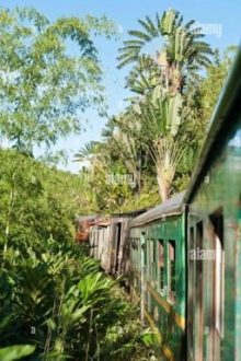 Tuyến Đường Ray Một Chiều