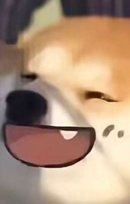 Nuông Chiều – Xuân Nhập Trì Trì (Hoàn Thành)