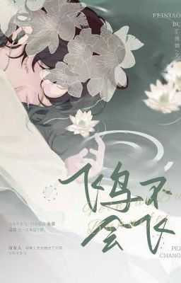 Chim Không Thể Bay Poster