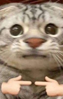 Lớp Trưởng, Tớ Chỉ Là Beta Thôi! (Hoàn Thành)