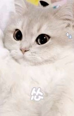 Bé Mèo Cưng Dính Người Nhất (Hoàn Thành)