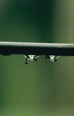 Chỉ Vì Hiên Sinh