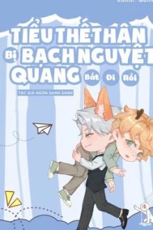 [ Edit/ Hoàn] Tiểu Thế Thân Bị Bạch Nguyệt Quang Bắt Đi Rồi