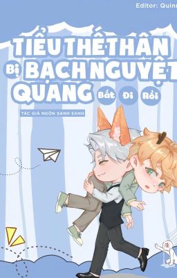 [ Edit/ Hoàn] Tiểu Thế Thân Bị Bạch Nguyệt Quang Bắt Đi Rồi Poster