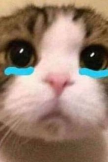 [Caoh] Tôi Lừa Crush Là Có Con Bọ Chui Vào Đít Cậu Ấy