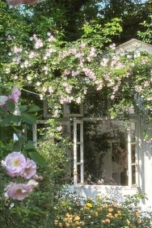 Đậu Nhỏ Của Sói Xám •Abo• Fakenut