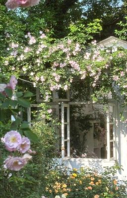 Đậu Nhỏ Của Sói Xám •Abo• Fakenut Poster