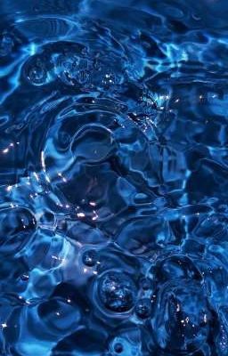 Le Lói Ánh Nắng Vàng