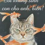 Tôi Không Sinh Con Cho Anh, Biến!