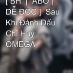 [ Bh  |  Abo | Dễ Đọc ]  Sau Khi Đánh Dấu Chỉ Huy Omega