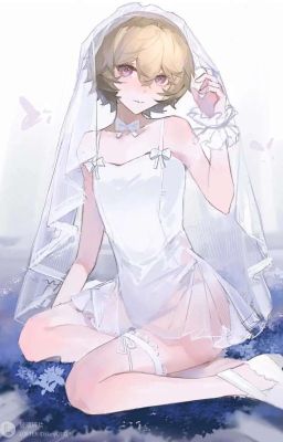 [Song Tính] Chứng Ỷ Lại Sữa Mẹ