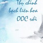 [End] Thụ Chính Bạch Liên Hoa Ooc Rồi