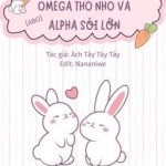 [Đam Mỹ/Abo/End] Omega Thỏ Nhỏ Và Alpha Sói Lớn – Ách Tây Tây Tây