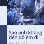 [Đm/End] Sao Anh Chưa Đến Dỗ Em Đi? – Mặc Tây Kha