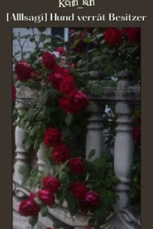 [Allisagi] Hund Verrät Besitzer