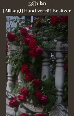 [Allisagi] Hund Verrät Besitzer