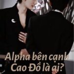 [DONE][Lang Đồ | Sói Thỏ cp] Alpha đột ngột xuất hiện bên cạnh Cao Đồ là ai?