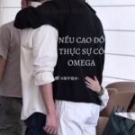 [DONE][Lang Đồ | Sói Thỏ cp] Nếu Cao Đồ thực sự có Omega