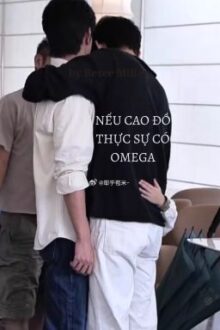 [DONE][Lang Đồ | Sói Thỏ cp] Nếu Cao Đồ thực sự có Omega
