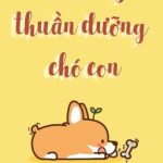 [Hoàn][Đm/Np] Nhật Ký Thuần Dưỡng Chó Con