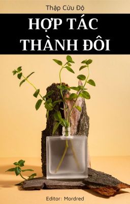 [ĐM-Xong] Hợp tác thành đôi – Thập Cửu Độ Poster